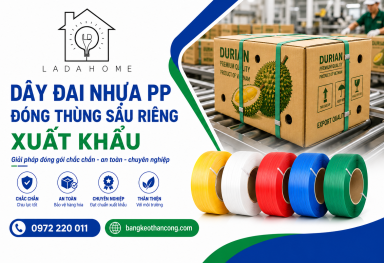 Dây đai nhựa PP đóng thùng sầu riêng