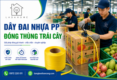 Dây đai nhựa đóng thùng trái cây