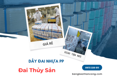 Dây đai nhựa PP đai thủy sản 
